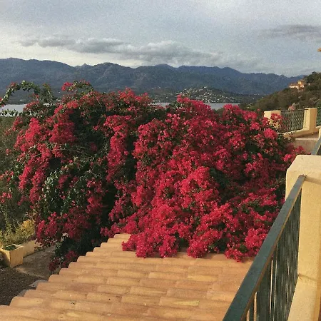 ヴィラ Large Family With Sea View Near Palombaggia